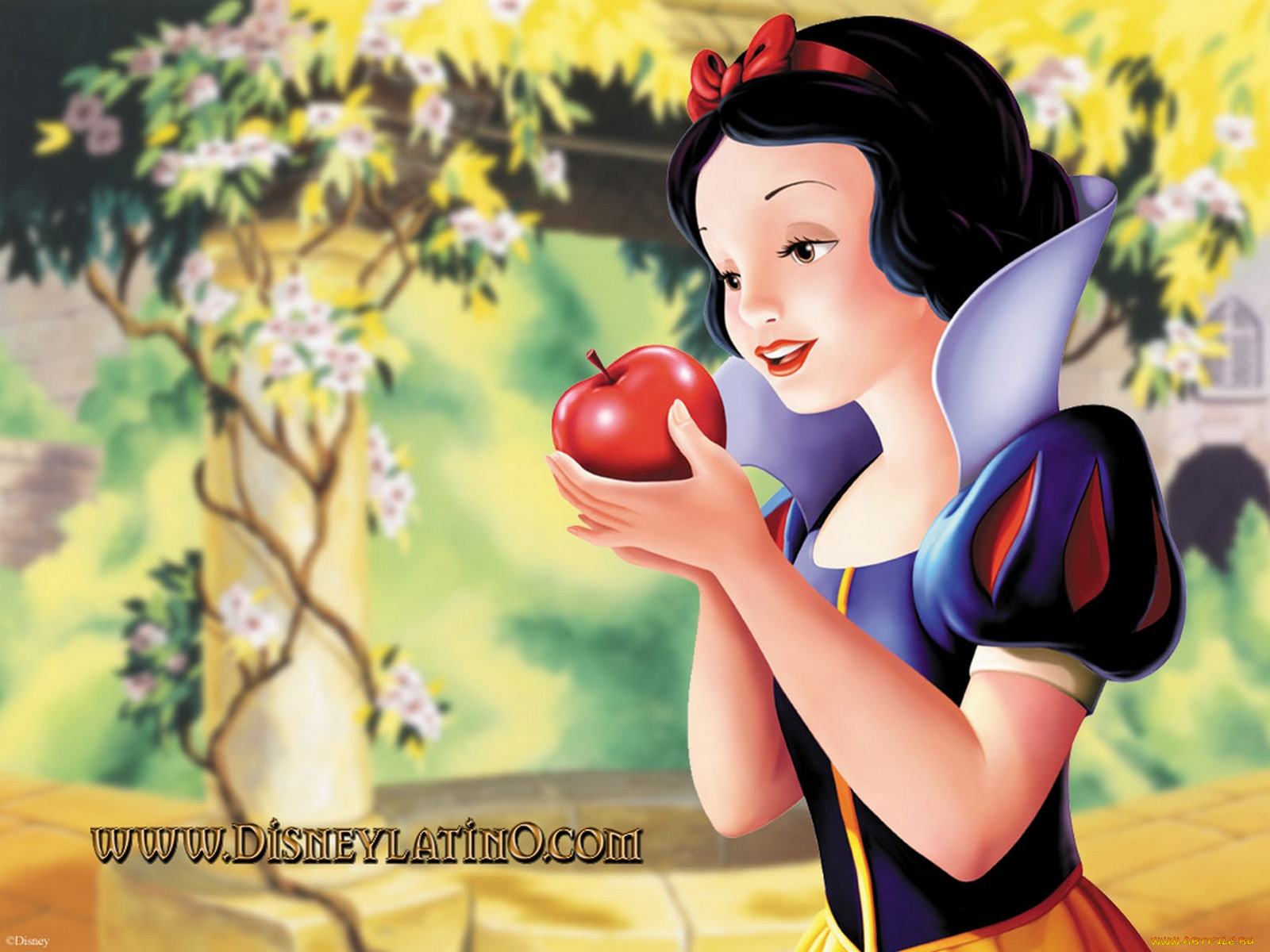 , snow, white, and, the, seven, dwarfs
